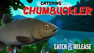 How to Catch CHUMBUCKLER - Catch and Release VR