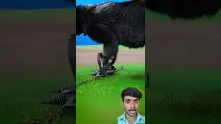 Bhalu Kaise Pakda jata hai #facts #Hindi animation daily facts shorts Adarsh GSSV tranding facts