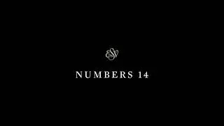 Numbers 14 - English Standard Version (ESV)