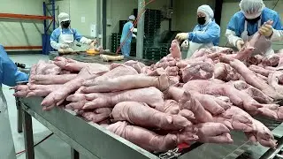 Incredible Korean Factory Mass Production Technology and Manufacturing Process