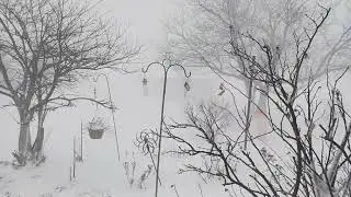 Christmas Blizzard 2022 Buffalo, Ny