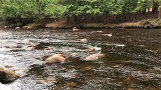 Land on Independence River near the Adirondack Park in New York