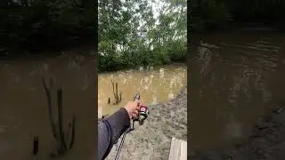 Mungkin mancing keributan dirumah #alatpancing #fishing #mancing #mancingmania #angler