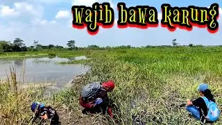 GILLA WAJIB BAWA GALON BESAR‼️ MANCING BELUT MOJOPAHIT BESAR & BANYAK