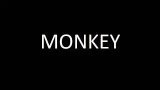 Dimension Costeña- Monkey
