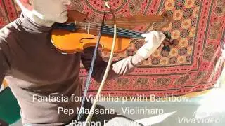 Fantasy for Violinharp and Bachbow