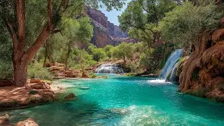 Spirit of the Earth &ndash; Native American Flute & Nature Sounds for Inner Peace and Healing