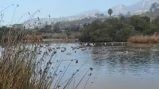 protect limited wildlife habitats urban runoff, contaminated nutrients fertilizers harm  ecosystems