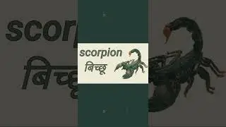 #learn#insect#kidzhub#education#kidsvideo#insectname#lerningvideo#educationvideo#earlylearning#child