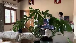 Happy with our new monster plant and playing with my bloody brilliant boy