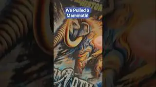 Набор Wild Card Mammoth Pull #irlpackopening #sportscards #hobby #wildcardfootball #nflcards #nfl...