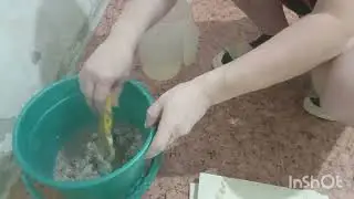 Ремонт будущей спальни. Сама себе удивляюсь. Васька позирует 