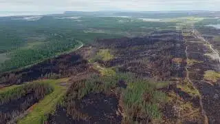 Paddy&rsquo;s Pond Wildfire Damage