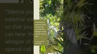 Silence your External Voice - Dr Ana's Inspirational Quotes 🙏🌟🌸
