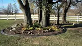 DecoCurb