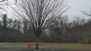 Just 38 minutes away from NYC WHAT A GREAT DAY to explore my neighboring town come and join..
