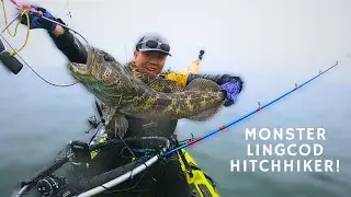 Lingcod Fishing California 2023| IT Attacked my blue rockfish?!