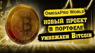 OmegaPro - умножаем Bitcoin | новый проект в портфеле
