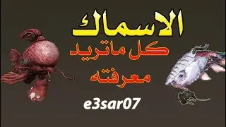 كل ماتريد معرفته عن الاسماك في وار فريم وارفريم