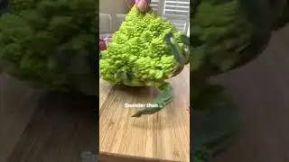 What is a Romanesco broccoli