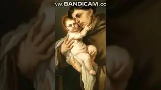 Dulia #catholicworship #faithexplained #catholicdoctrine #svd #youtubedevotional #trending #faith
