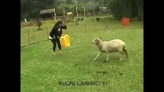 STA JE TRAZILA,TO JE I DOBILA-cackala OVNA!!!