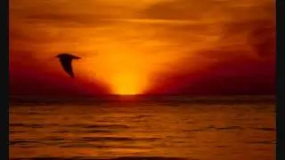 Shirley Scott - Can't Get Over the Bossa Nova