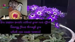 life path 11, master number 11, one of the 5 core numbers in numerology.