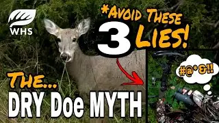 3 Deer Hunting Myths To Avoid