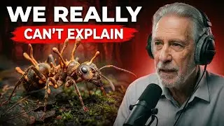 Nothing About Zombie Fungus Is Normal... Here's Why