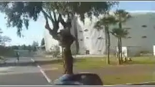 جولة  بين الدار البيضاء والرباط  🌴🌴🌴