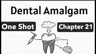 Dental Amalgam Chapter 21 One Shot Lecture | Dental Materials 2nd Year BDS By Dr Hippocratic