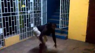 SHELLY XPRESSIONZ dancing downstairs
