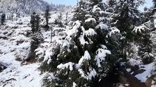 DUDU BASANTGARH/SNOWFALL at DUDU VALLEY/ Our TREASURE... Dudu Valley...DUDU BASANTGARH// jk// India.