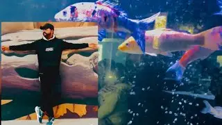 100 Type of fish Explain in my vilog