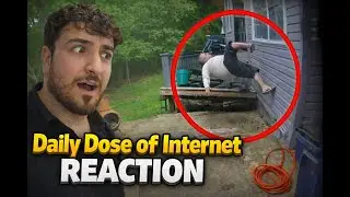 Alles kracht ein auaaa! - Daily Dose of Internet Reaction #2