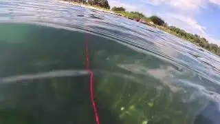 Gatku Aluminum pole spear with slip tip first time using