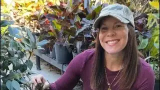 5 Gardening Tips 