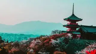 45min Japanese Spa relaxing music | Koto, Zen Garden, Instrumental, Spa, Sleep Music, Calm Music