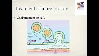 The Management of Multiple Sclerosis Related Neurogenic Bladder Symptoms