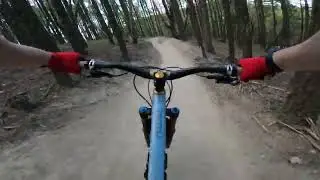 Revamped lizard trail in Ashland