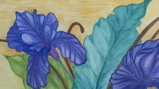 #126 Mixed Media: Aquarelle Water Colour Pencils & Paints