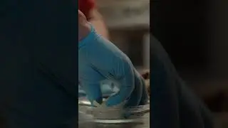 HATALMAS 20 DKG h&uacute;sos hamburger a Csirke Cs&uuml;l&ouml;k H&aacute;zban! #csirkecsulokhaz