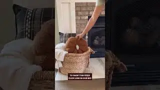 Cozy & Rustic Amazon Fall Fireplace Decor Ideas!