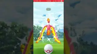 Moltres Day!
