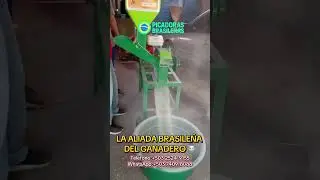 2 M&aacute;quinas en 1: Picadora y Molino de Martillos 🌾🌽 #picadora #agricultura #ganaderia #farming