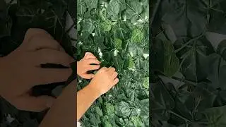 Como instalar jard&iacute;n vertical / Muro Verde #shorts #viral #diy #decoracionjardin #home