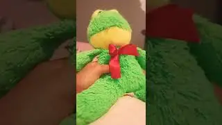 Funny Kermit show