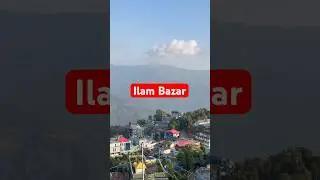 Ilam Bazar - The tea garden of Nepal 🇳🇵 #bollywood #ilambazar #teagarden #viralshorts #viralvideo
