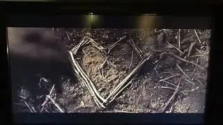 Where the Wild Things Are - ending beach scene
